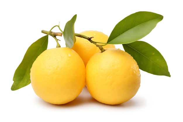 Photo lulo fruit isolated on white background