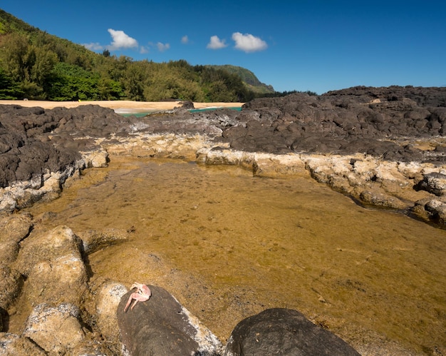 Lumahai Beach Kauai with rocks and crab