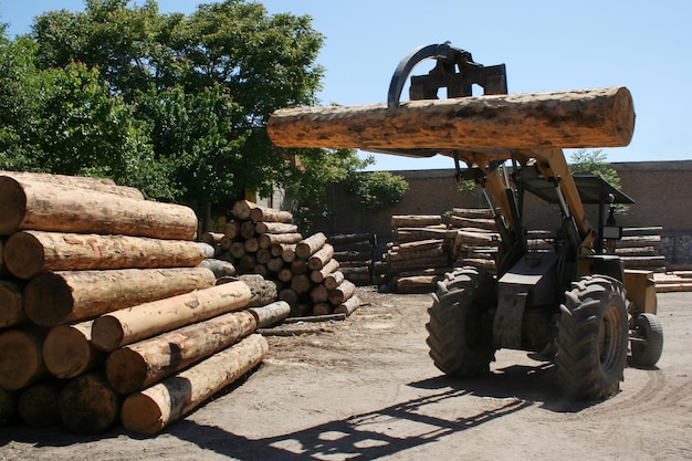 Lumber industry Logs at a sawmill