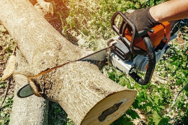 Foto il boscaiolo taglia un albero nel cortile di una motosega elettrica a motosega