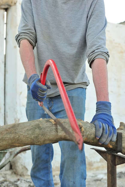 Lumberjack cutting firewood in rural village, with manual saw.