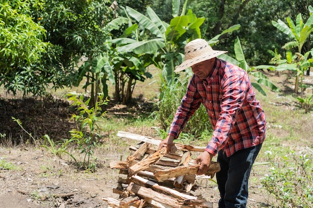 Lumberjack sorting wood in the field