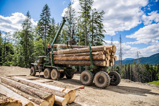 Lumberjack with modern harvester working in a forest Forest industry Felling of treescut trees forest cutting area forest protection concept Wheelmounted loader timber grab