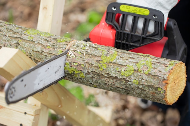 Lumberman in gloves works with chainsaw and sawing a tree in the forest