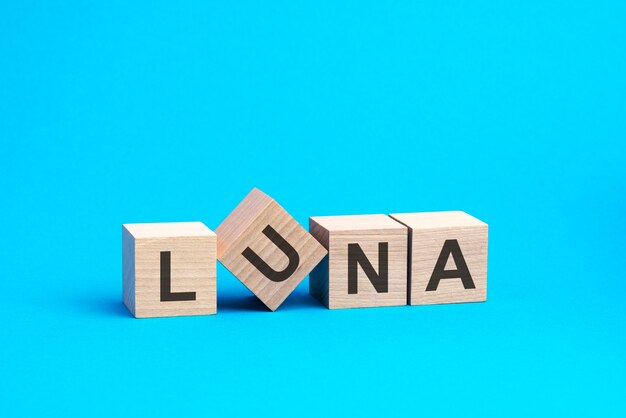 Luna text on wooden blocks business concept blue background