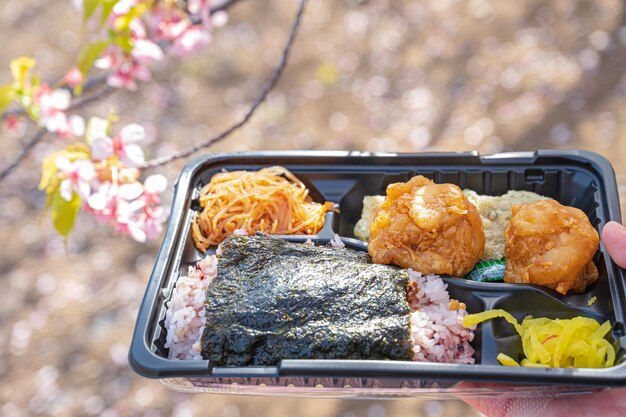 Lunch box under the cherry sakura tree