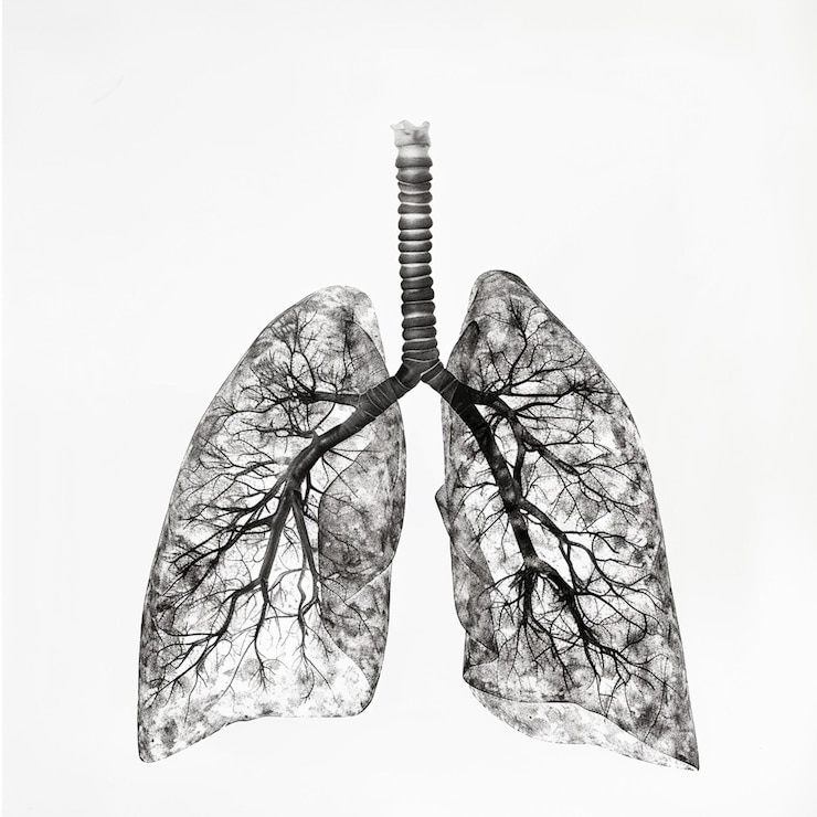 Photo lung cancer day