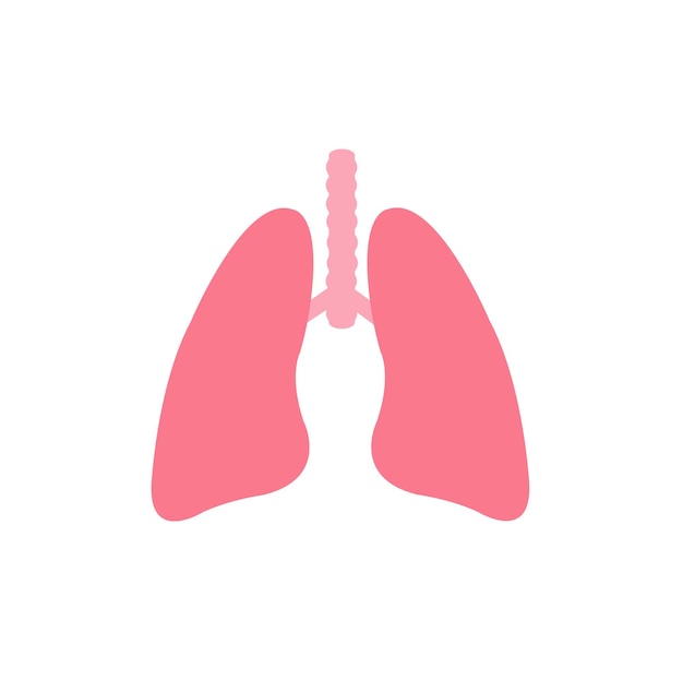 Lung icon isolated from white background.