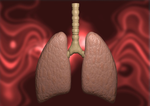 Lung organische achtergrond