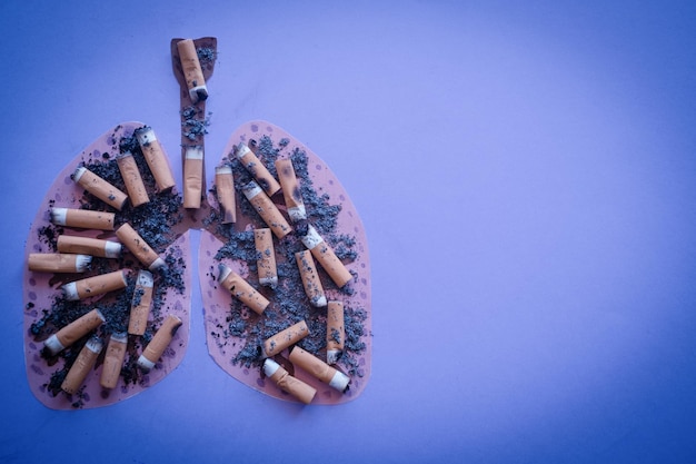 Lungs image with butts cigarettes and ash from cigarette or
cigar smoke. copy space