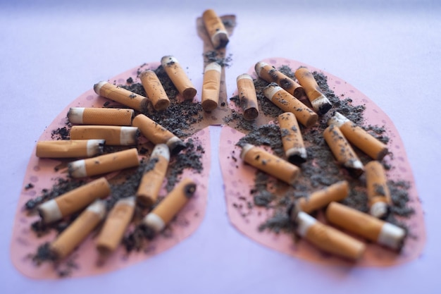 Lungs image with butts cigarettes and ash from cigarette or\
cigar smoke copy space