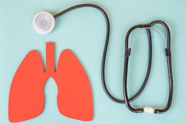 Lungs paper decorative model with medical stethoscope on light blue background World tuberculosis TB day pneumonia respiratory diseases concept Top view flat lay copy space