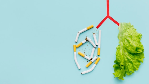 Photo lungs shape with salad and cigarettes and copy-space