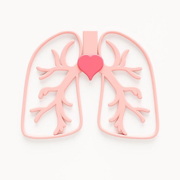 Lungs with heart sign for pulmonary disease  concept. Body organ 3d render illustration.