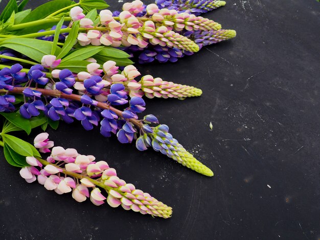 lupine bloem