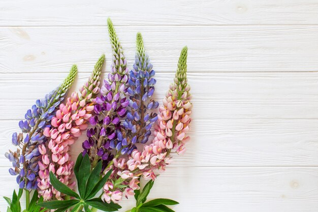 Lupines op de witte houten achtergrond. Plat leggen bloemen