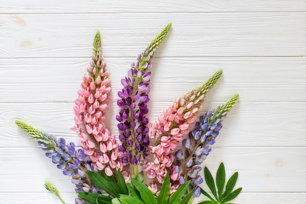 Lupines on the white wooden background. Flat lay flowers