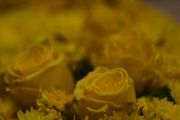 Luscious yellow rose bouquet with blur background