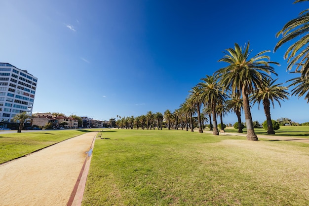 The lush Catani Gardens on a warm summer's morning near St Kilda West Beach and harbour in Melbourne Australia