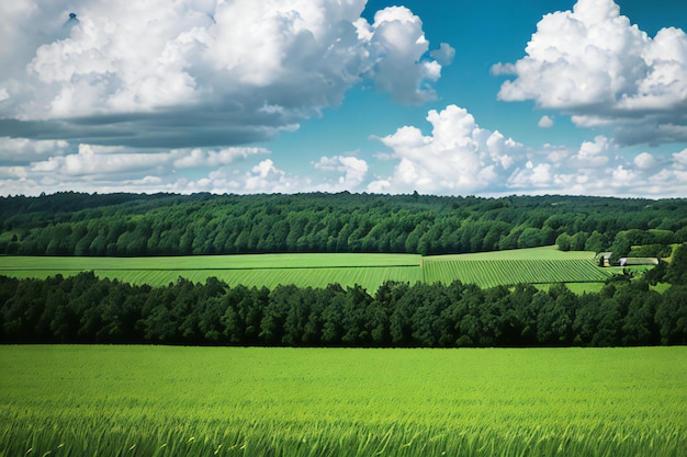 a lush green field with green sky