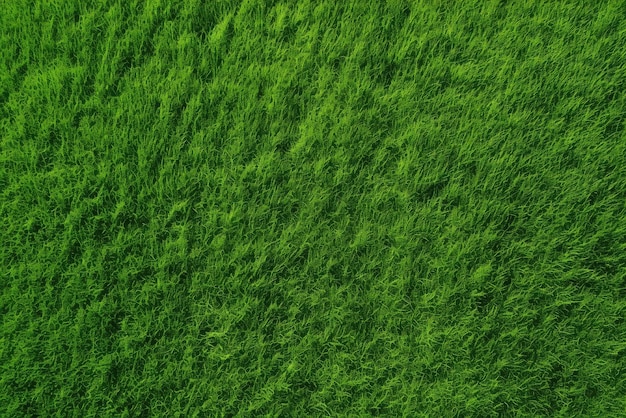 a lush green field with vibrant grass