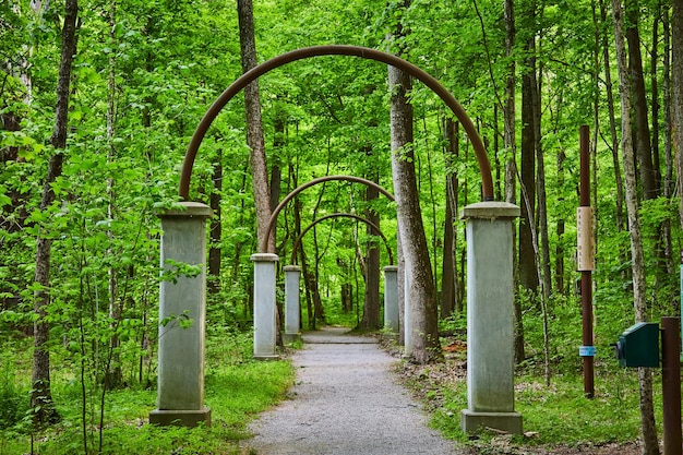 Photo lush green forest surrounding row of arches along woodland path through park trail ending in woods