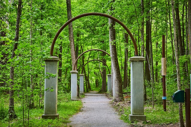 写真 森に終わる公園の小道を通る森沿いのアーチの列を囲む茂った緑の森