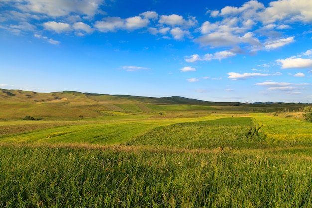 lush green hills and mountains