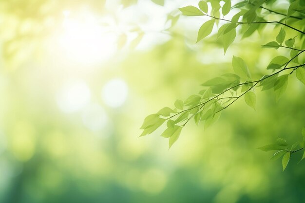 写真 茂った緑の葉の背景