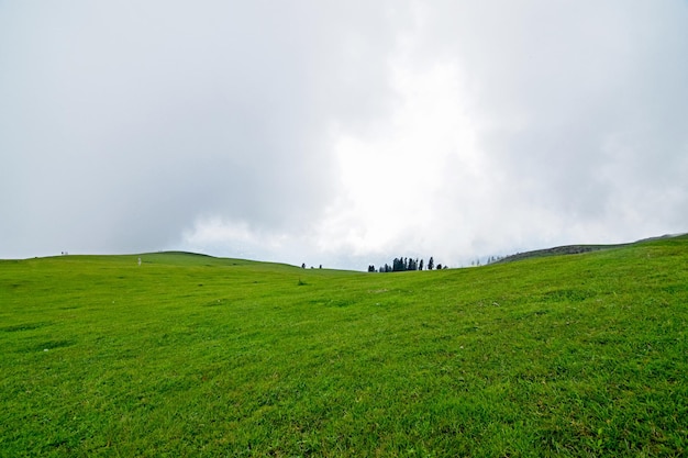 Lush Green Meadows of Kashmir Pakistan