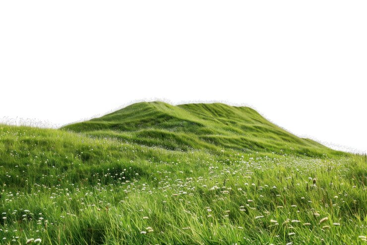 Photo lush green rolling hills