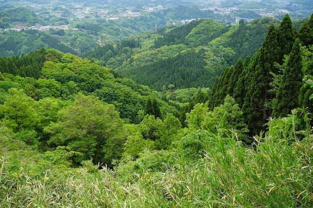 Пышная зеленая панорама горы и вид на город издалека