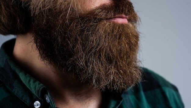 Lush groomed beard of brutal bearded male man hair care