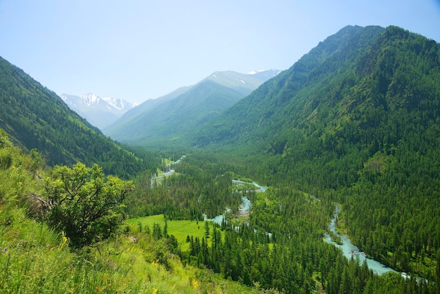 Плодородные горы и густые леса