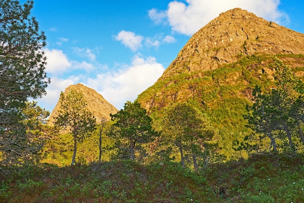 Foto lussureggiante montagna con verde erba selvatica e alberi contro il cielo blu nuvoloso con copyspace tranquillo paesaggio di boschi vuoti a bodo norvegia natura tranquilla da esplorare durante l'escursionismo o il viaggio