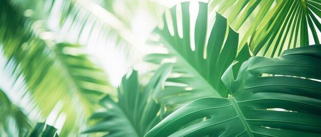 Photo lush palm leaves create a bright and relaxing backdrop