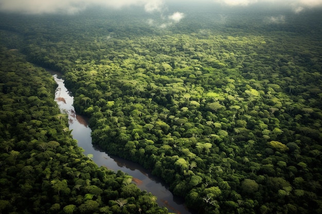 Lush rainforest aerial view generative ai