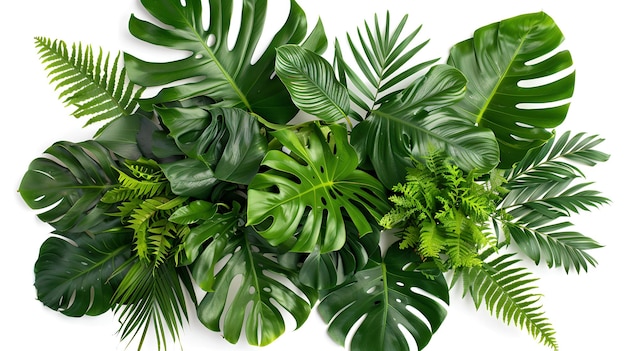 울창한 열대 잎자루 배경 자연적인 배열에 생생한 녹색 잎은 식물 디자인 테마와 자연 배경에 완벽합니다.