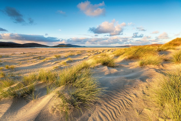 Luskentyre beach in the hebrides