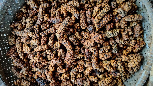 Photo luwak coffee beans texture