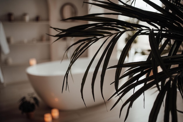 Luxe interieur van grote badkamer in moderne Afrikaanse stijl met ovaal bad in natuurlijke verlichting