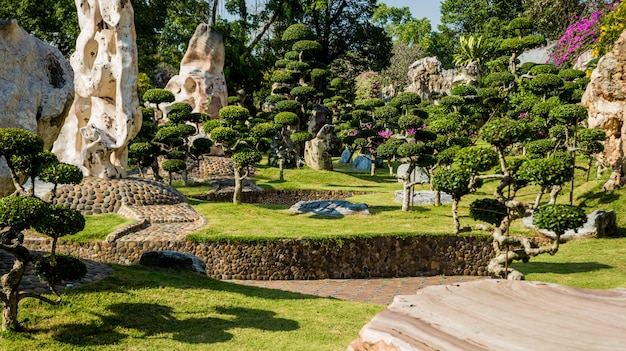 Luxe landschapsontwerp van de tropische tuin.