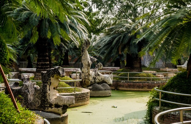 Foto luxe landschapsontwerp van de tropische tuin.