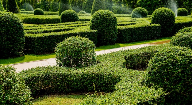 Luxe landschapsontwerp van de tropische tuin