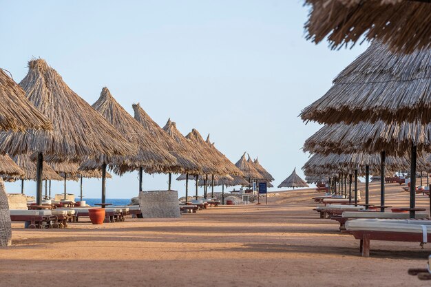 Luxe zandstrand met strandstoelen en stroparasols in tropisch resort aan de kust van de rode zee in sharm el sheikh, egypte, afrika. lege stranden tijdens quarantaine