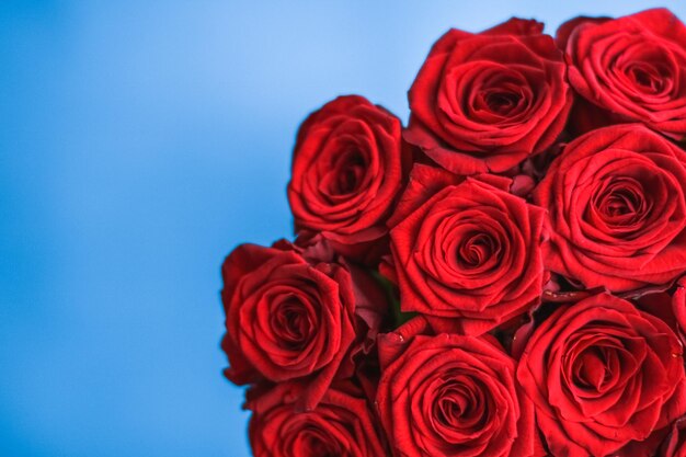 Luxeboeket van rode rozen op blauwe bloemen als vakantiegift