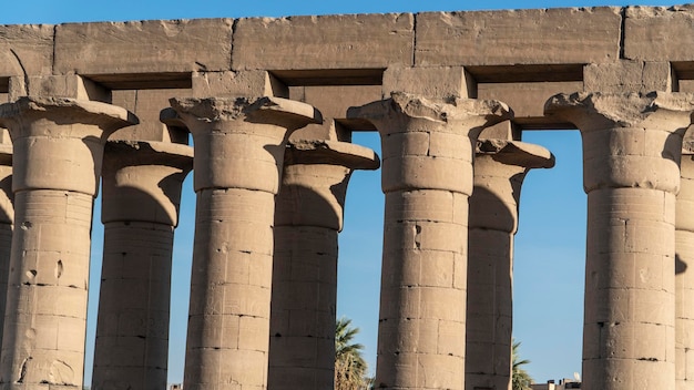 Photo luxor temple in luxor egypt luxor temple is a large ancient egyptian temple complex
