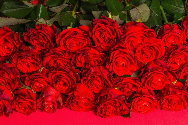 Luxurious bouquet of fresh red roses. The festive concept for Weddings, Birthdays, March 8th, Mother's, or Valentine's Day. Greeting card, red matte background