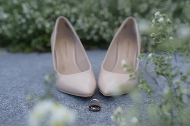 Luxurious brown wedding shoes