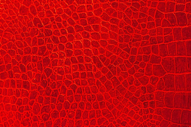 luxurious red skin leather texture